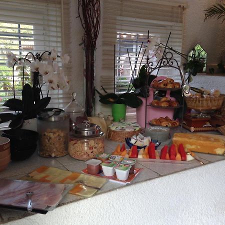Le Jardin De La Cite Bed & Breakfast Carcassonne Bagian luar foto