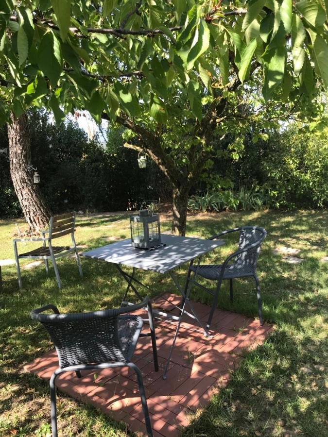 Le Jardin De La Cite Bed & Breakfast Carcassonne Bagian luar foto