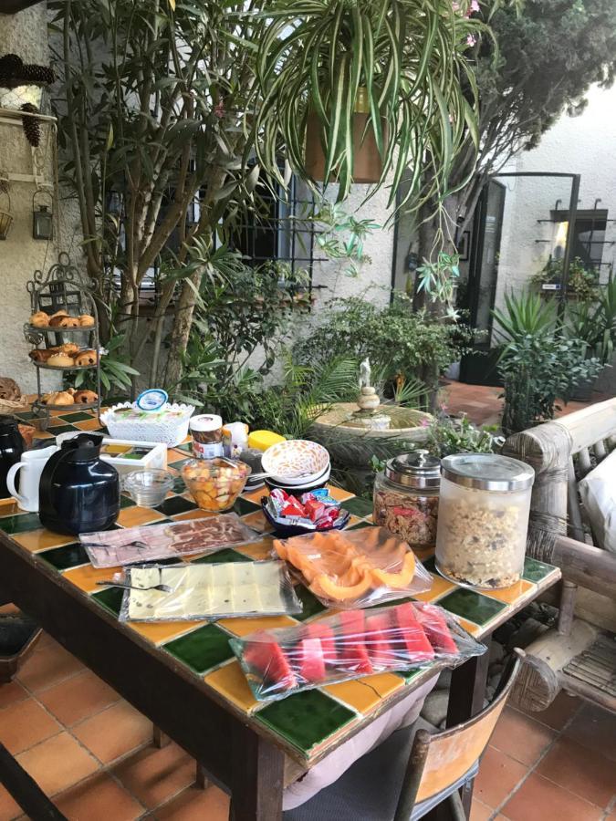 Le Jardin De La Cite Bed & Breakfast Carcassonne Bagian luar foto