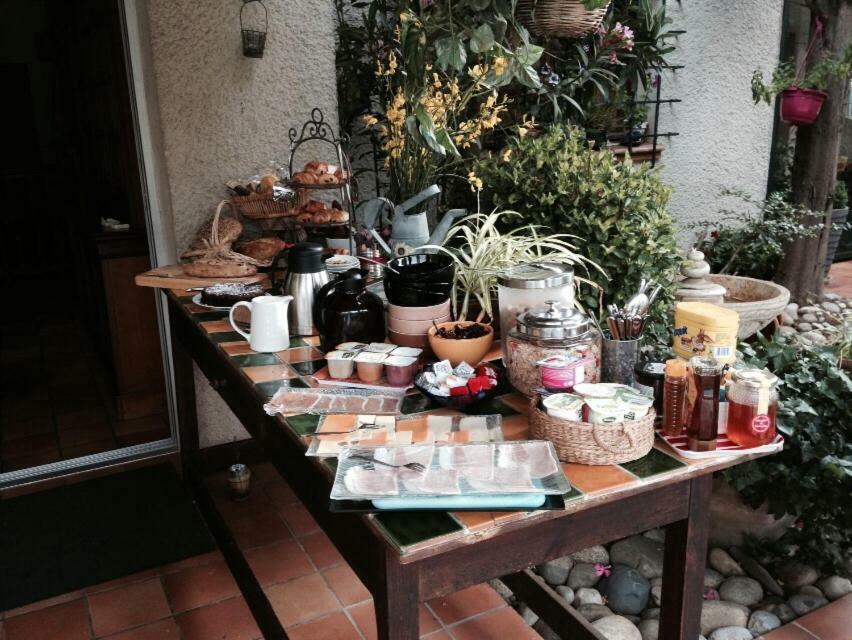 Le Jardin De La Cite Bed & Breakfast Carcassonne Bagian luar foto
